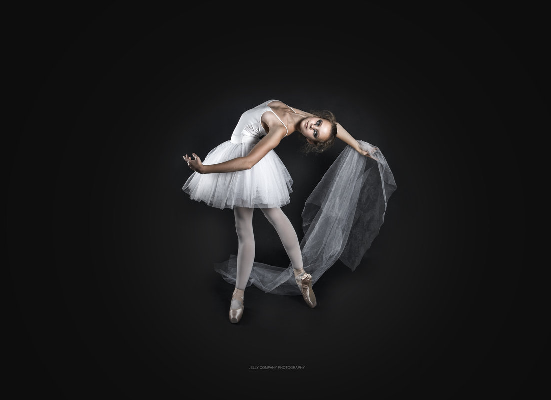 White Swan - Дарья Гринчак