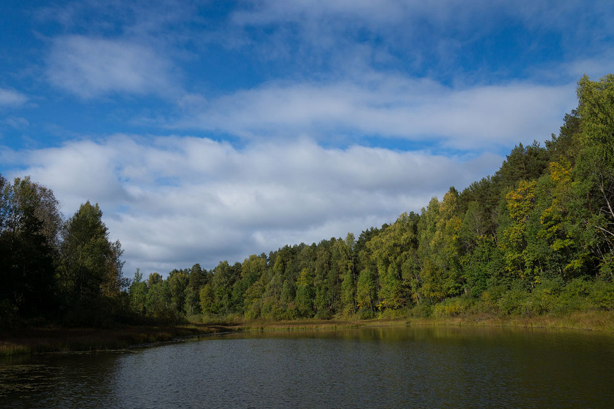 * - Александр Агеев