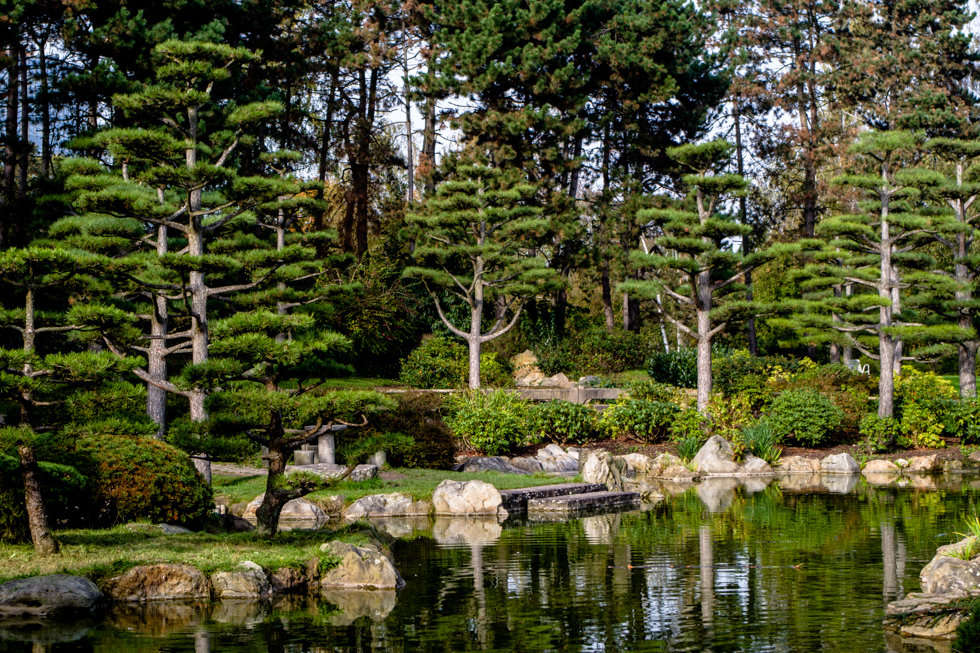 Японский сад - Witalij Loewin