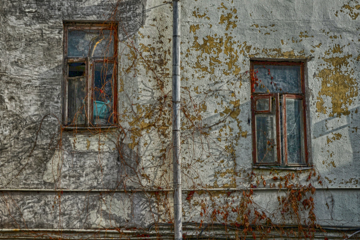 Наши windows - Александр Зайцев