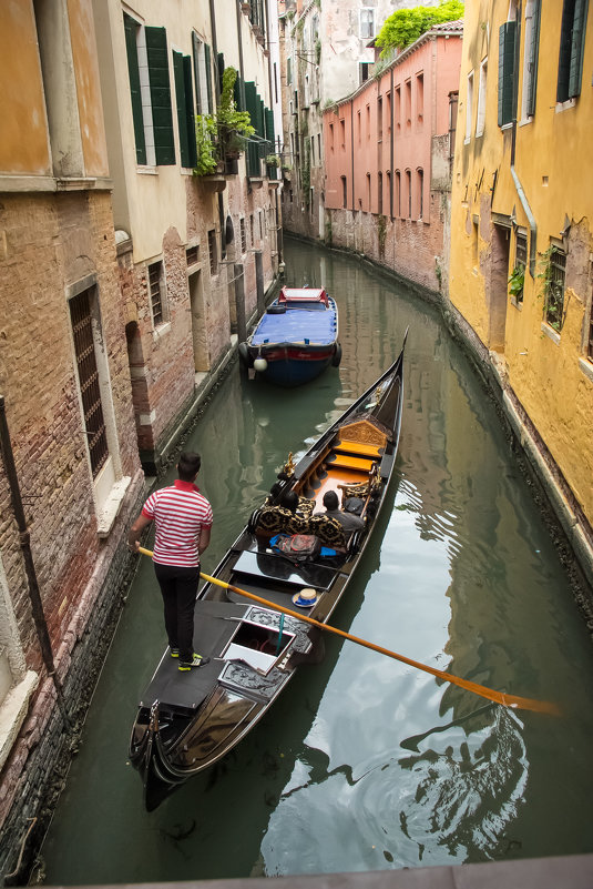 Venezia de la clasic. - Александр Мельник