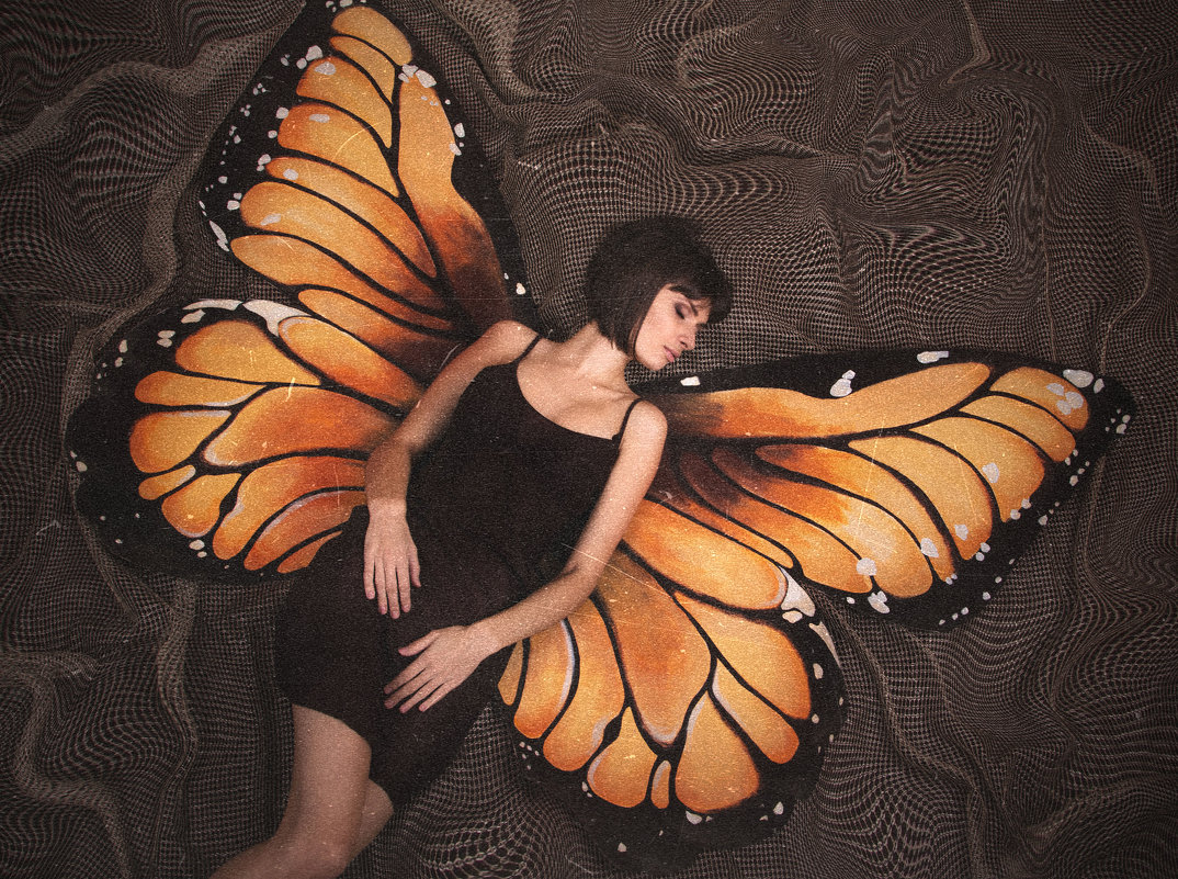 Butterfly - Дарья Сивачук