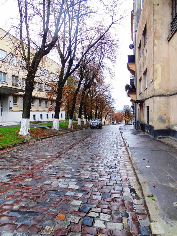 Осенний Львов - Бояринцев Анатолий 