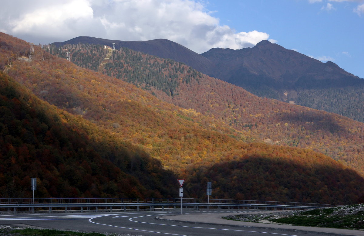 Осень в горах - Виолетта 