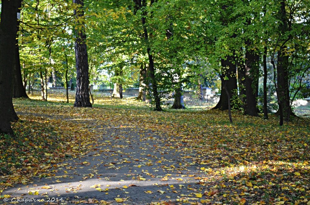 Осінь - Степан Карачко