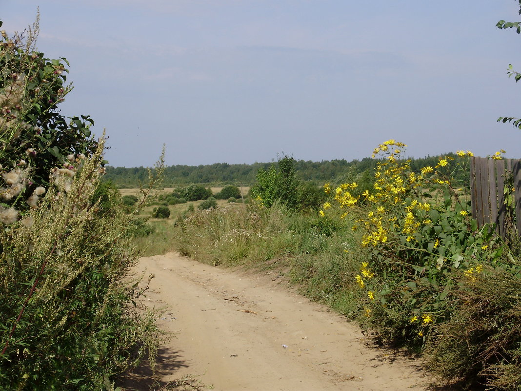 Дорога в деревне - Светлана из Провинции