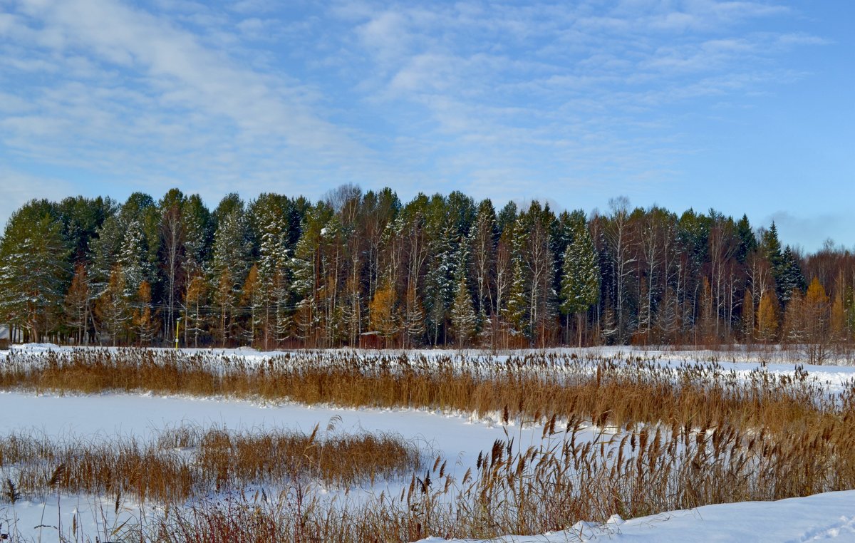 Зимой...на озере - AndrewVK 