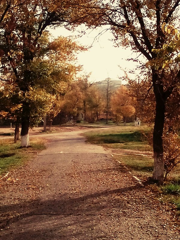 Парк - Маргарита Орловская