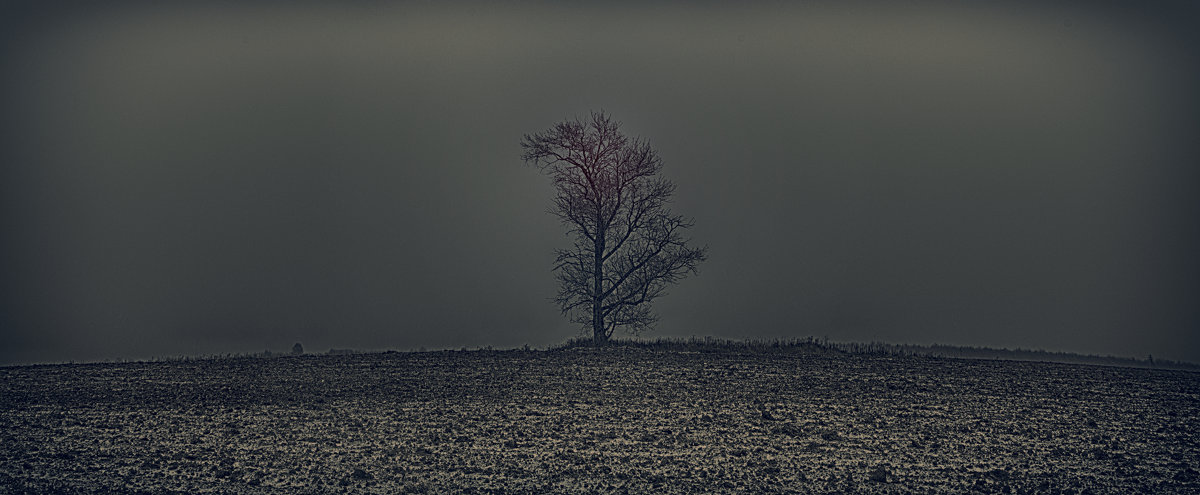 одинокое дерево - ганичев алексей 