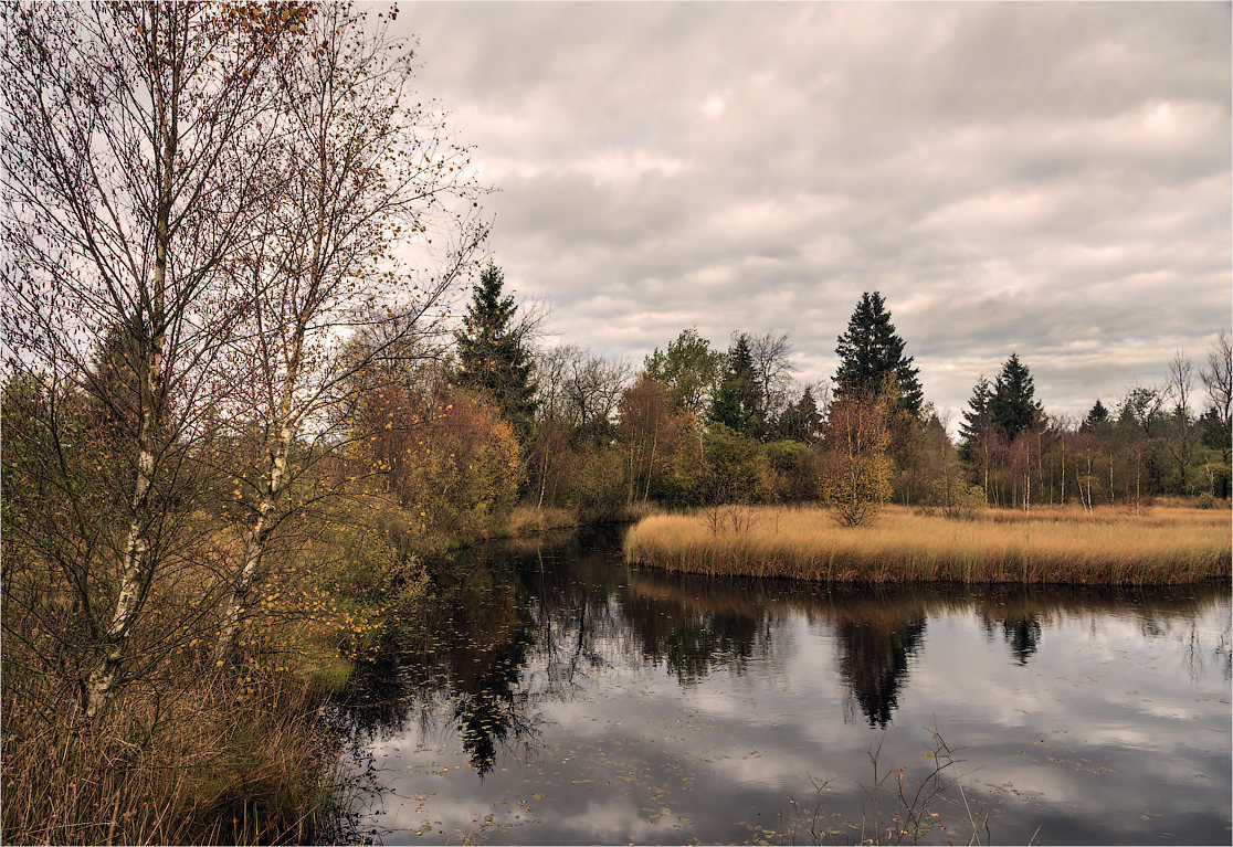 Осень на болоте - Irina Schumacher