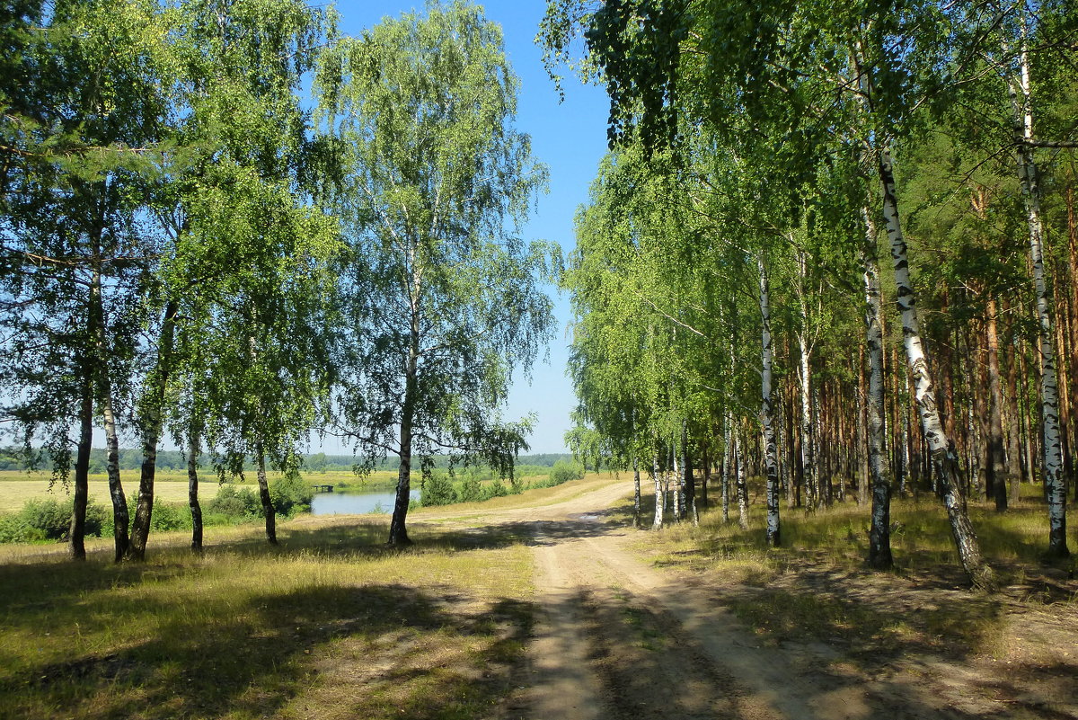 Родное Подмосковье. - Иван 