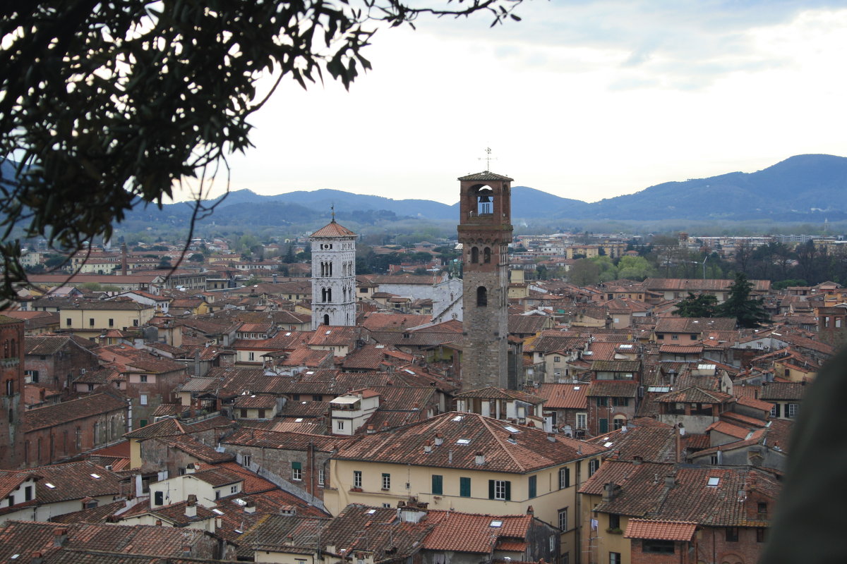 Lucca&#39;s panoramic view - Рената Мурзагильдина