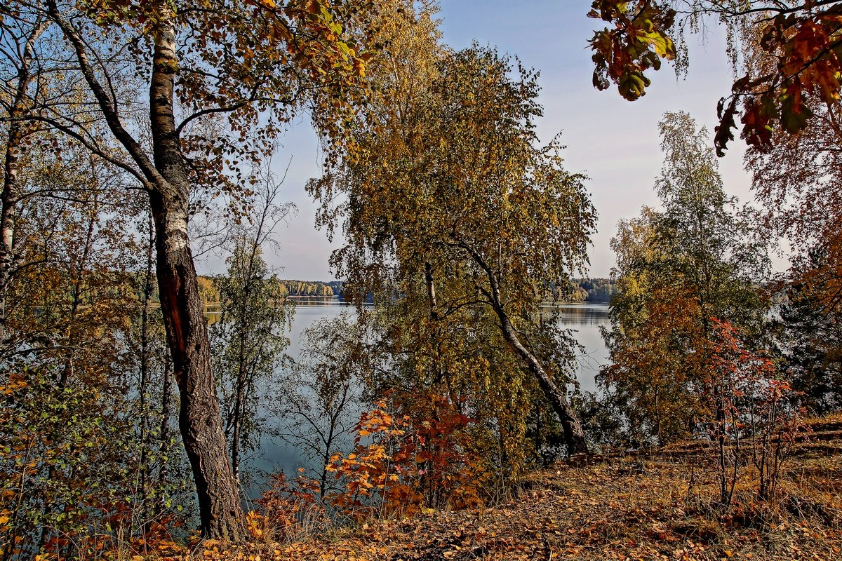 *** - Владимир Воробьев