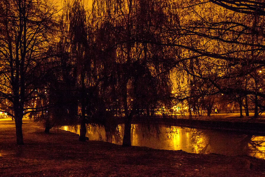Ночной пейзаж - Диана 