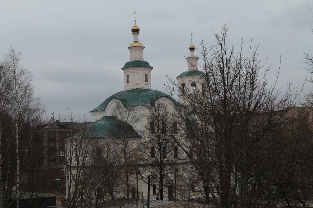 Церковь. г. Смоленск - Lion 