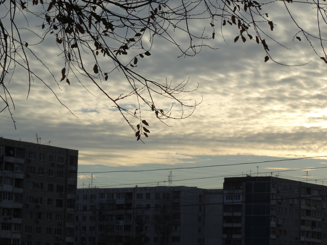 Вечернее небо в ноябре... - Тамара (st.tamara)