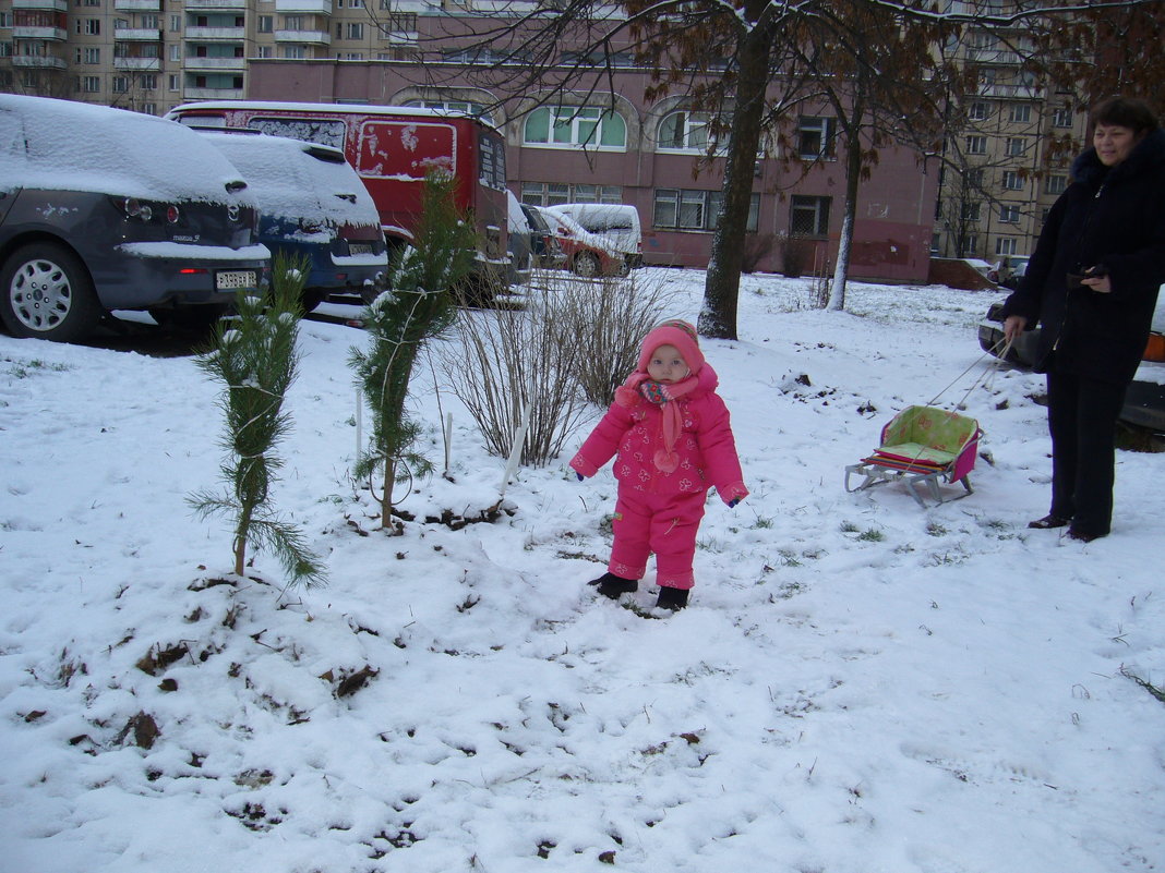 первый снег - Геннадий Евтушенко