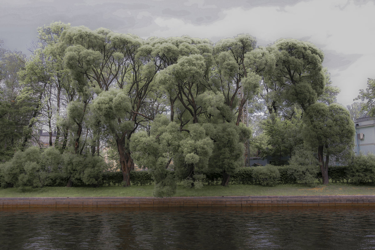Городские деревья - Сергей Глотов