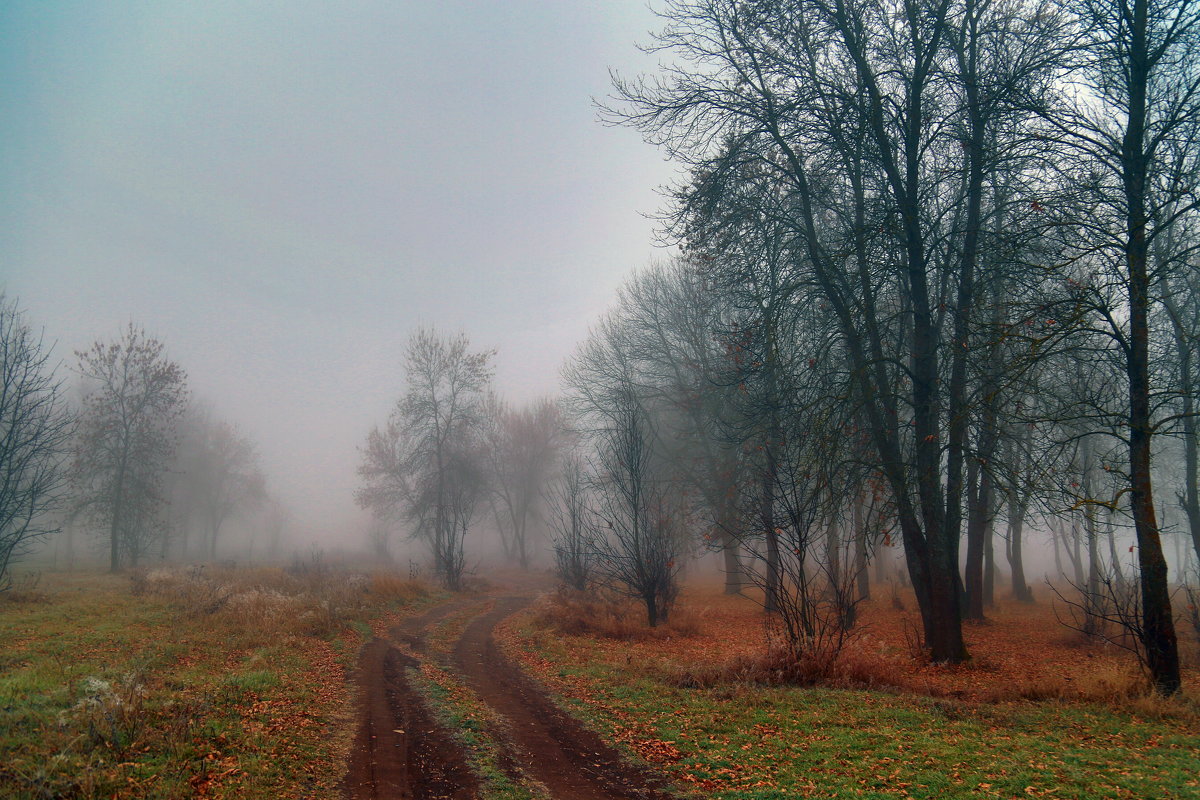 Дорога в туман - Сергей *