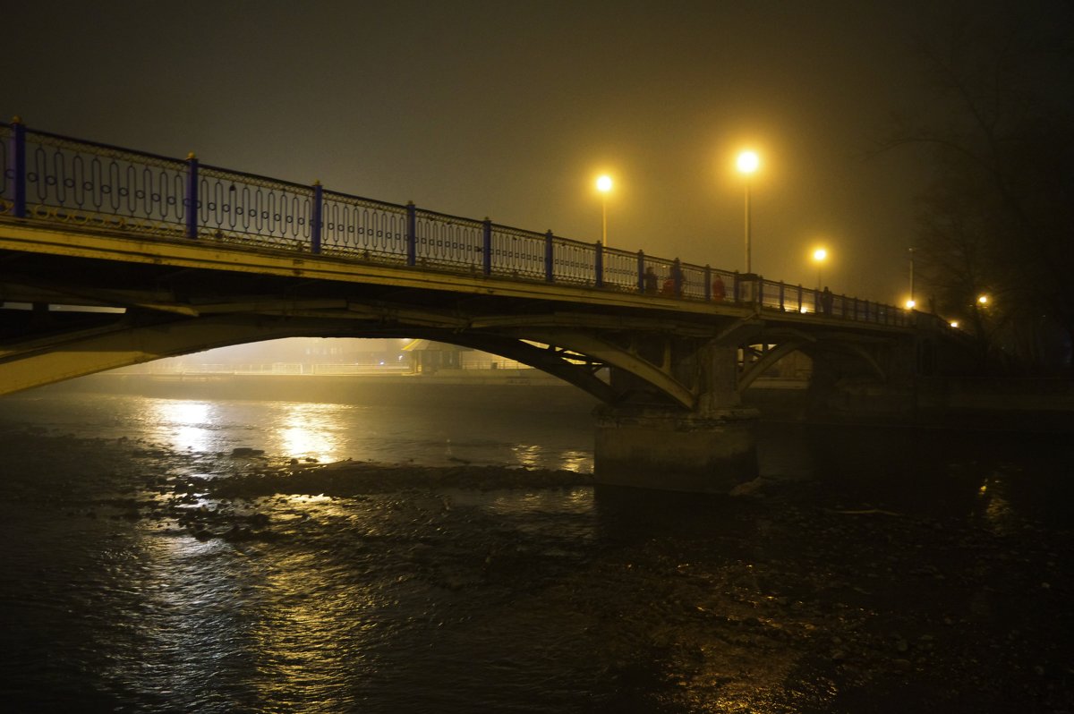 Мост через Терек возле парка.Владикавказ. - Andrad59 -----