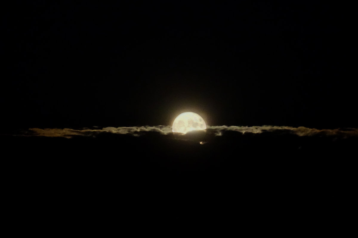 Явление Луны - Игорь Замлинский