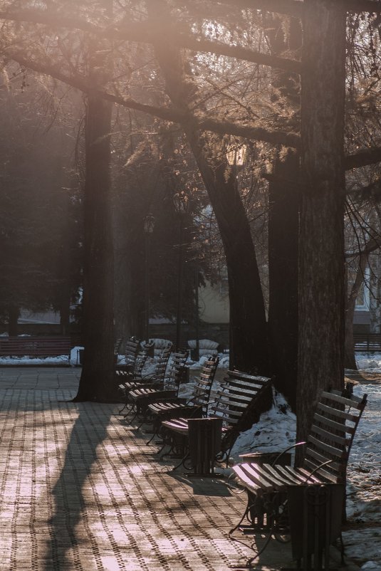 скамейки в парке - Валерий Валвиз