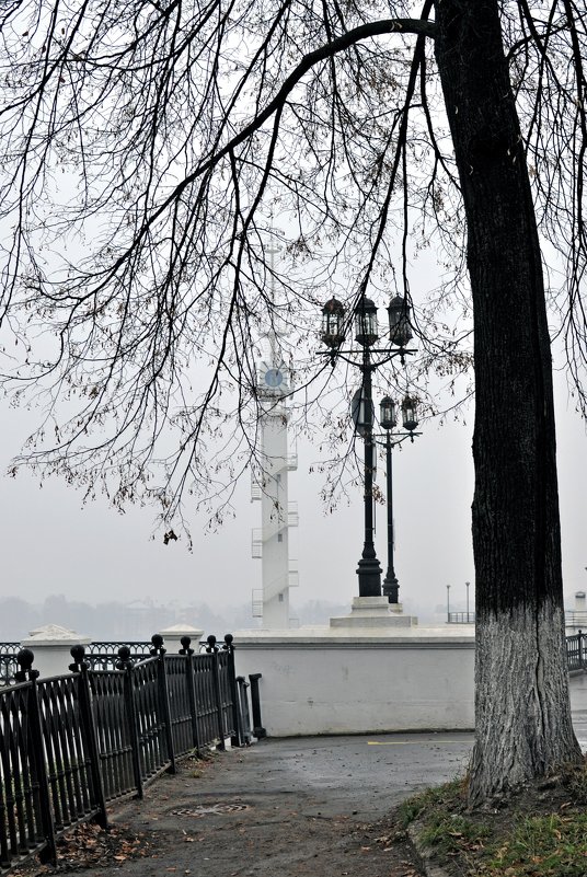 Серая осень - Нина Алексеева 