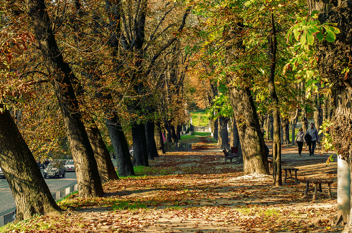 Осень во Львове - Виктор 