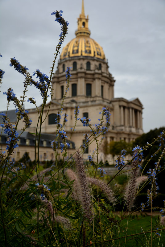 L&#39;hôtel national des Invalides - Olga Stolpovskaya