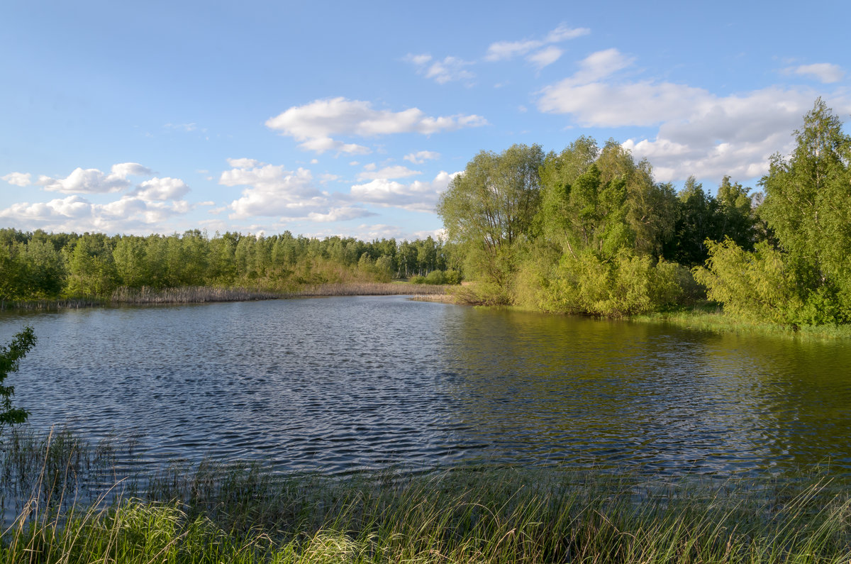озеро - Елена Осинцева