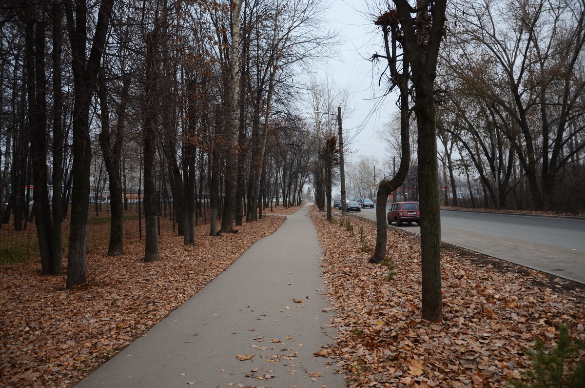 Осенняя дорожка - Дарья Каратун