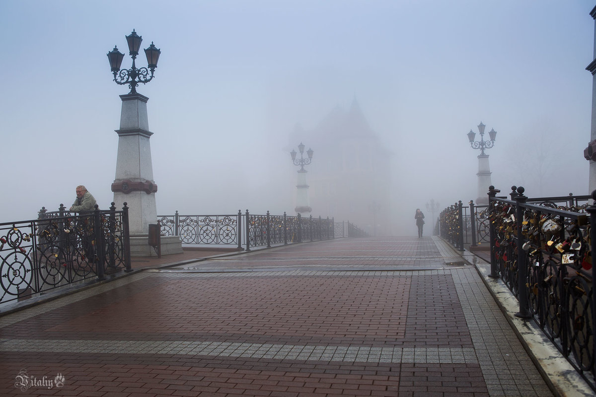 Утро туманное 3 - Виталий Латышонок