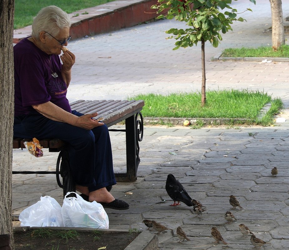 Птицы...  мы все птицы... - Валерия  Полещикова 