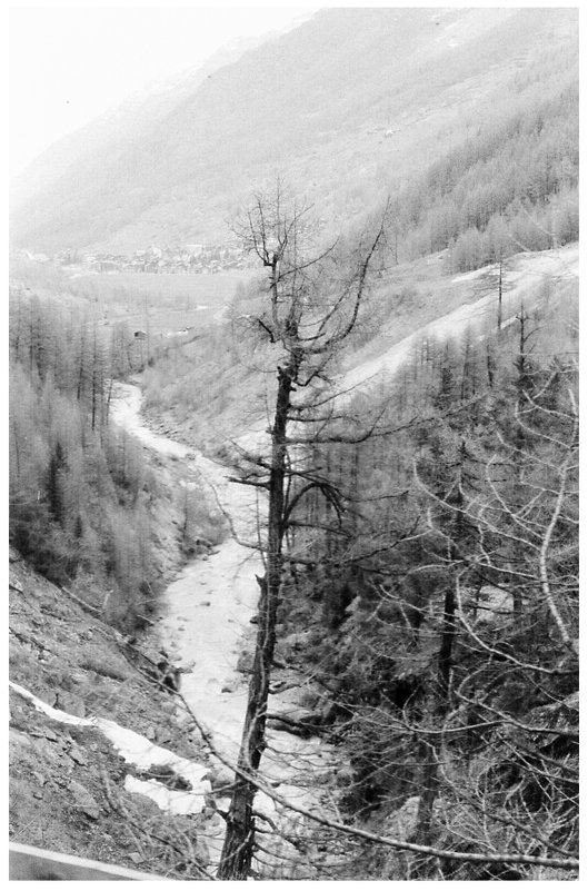 Zermatt 2013 - Дмитрий Ланковский