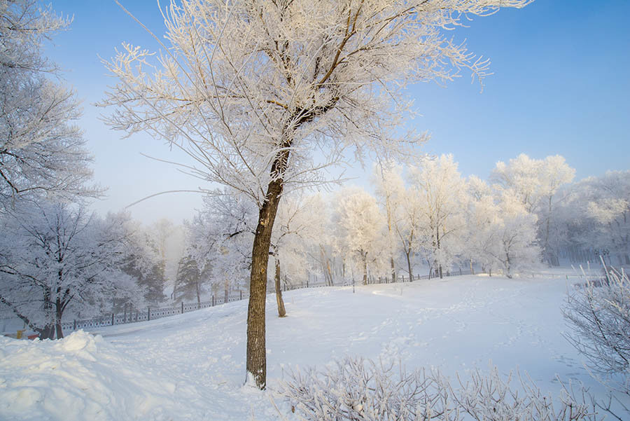 Снег и утро - Виктор Алеветдинов