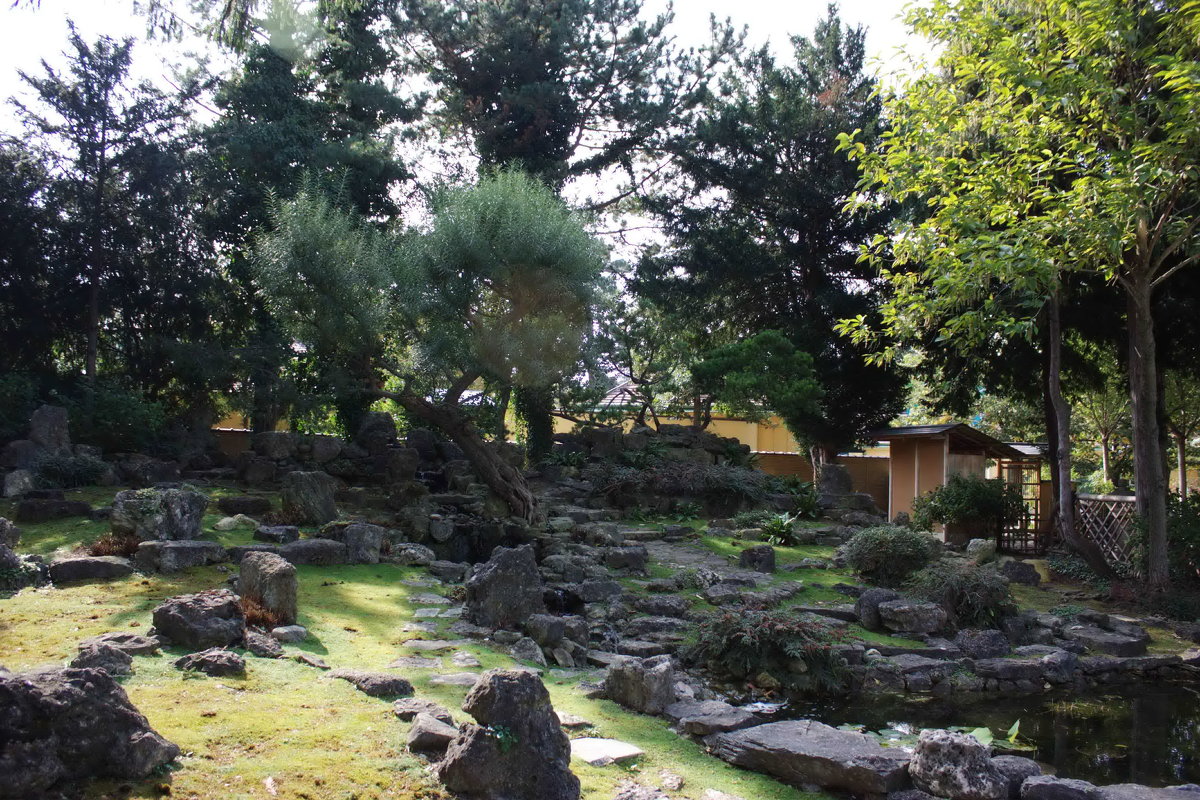 Японский сад - Gennadiy Karasev
