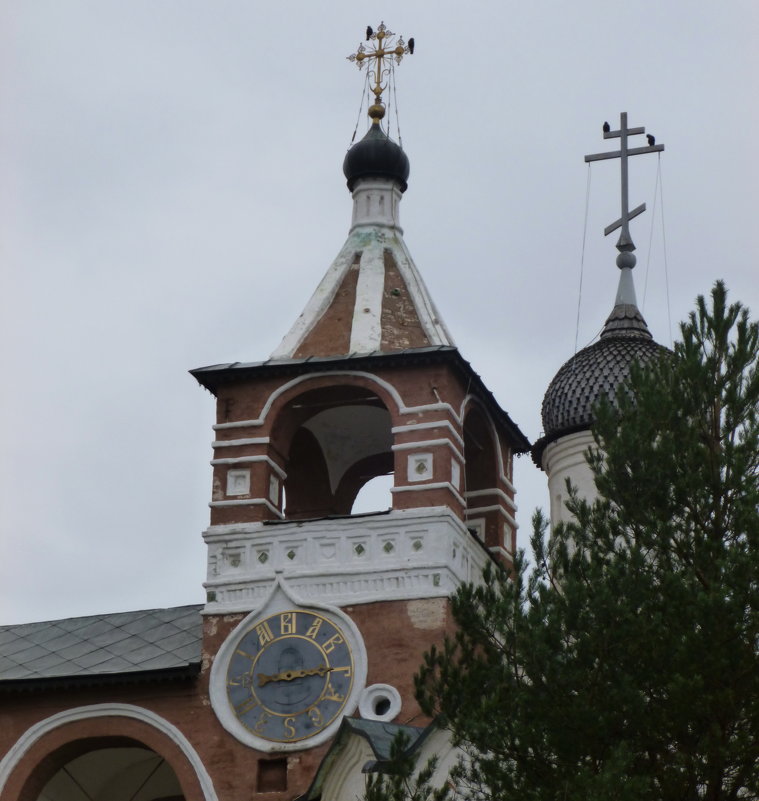 Часовая палатка звонницы Спасо-Евфимиева монастыря - Galina Leskova