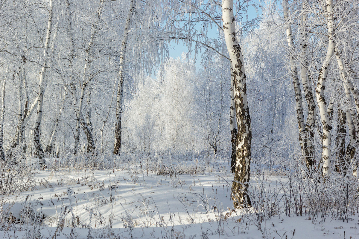 Поёт зима — аукает, Мохнатый лес баюкает. - Kassen Kussulbaev