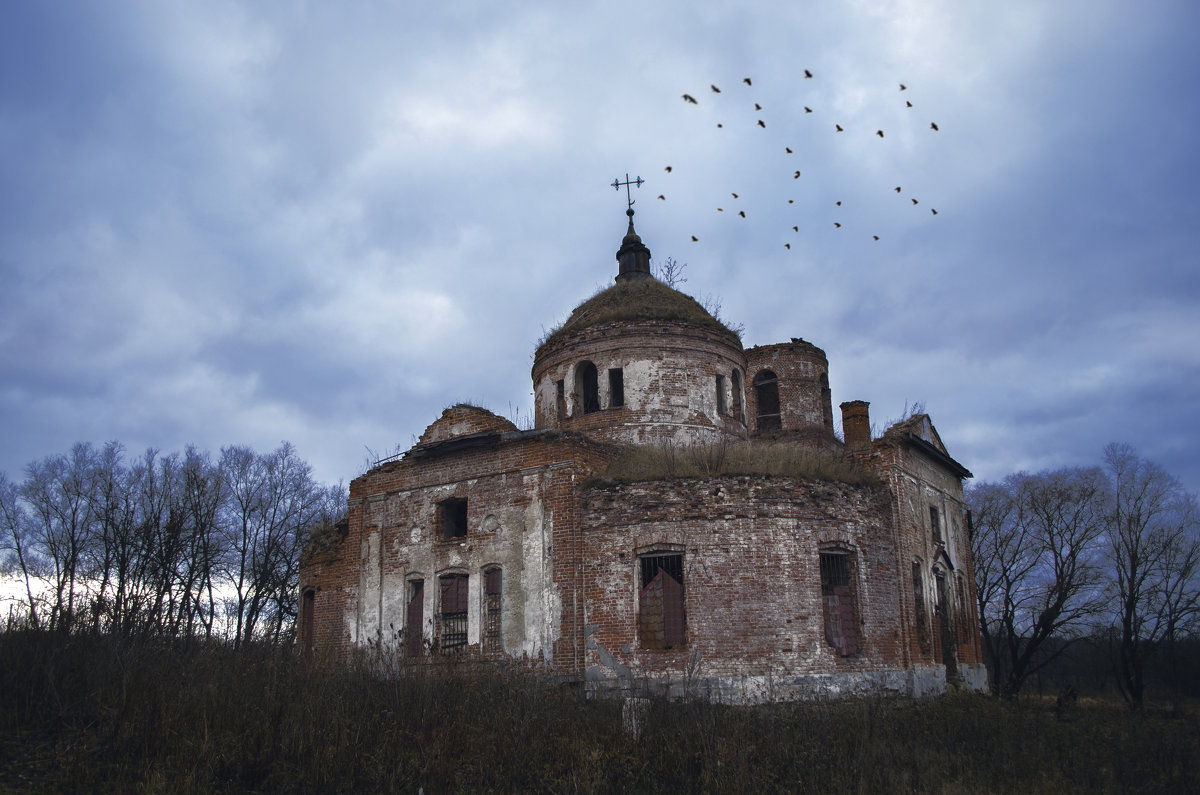 . - Наталья Золотарева