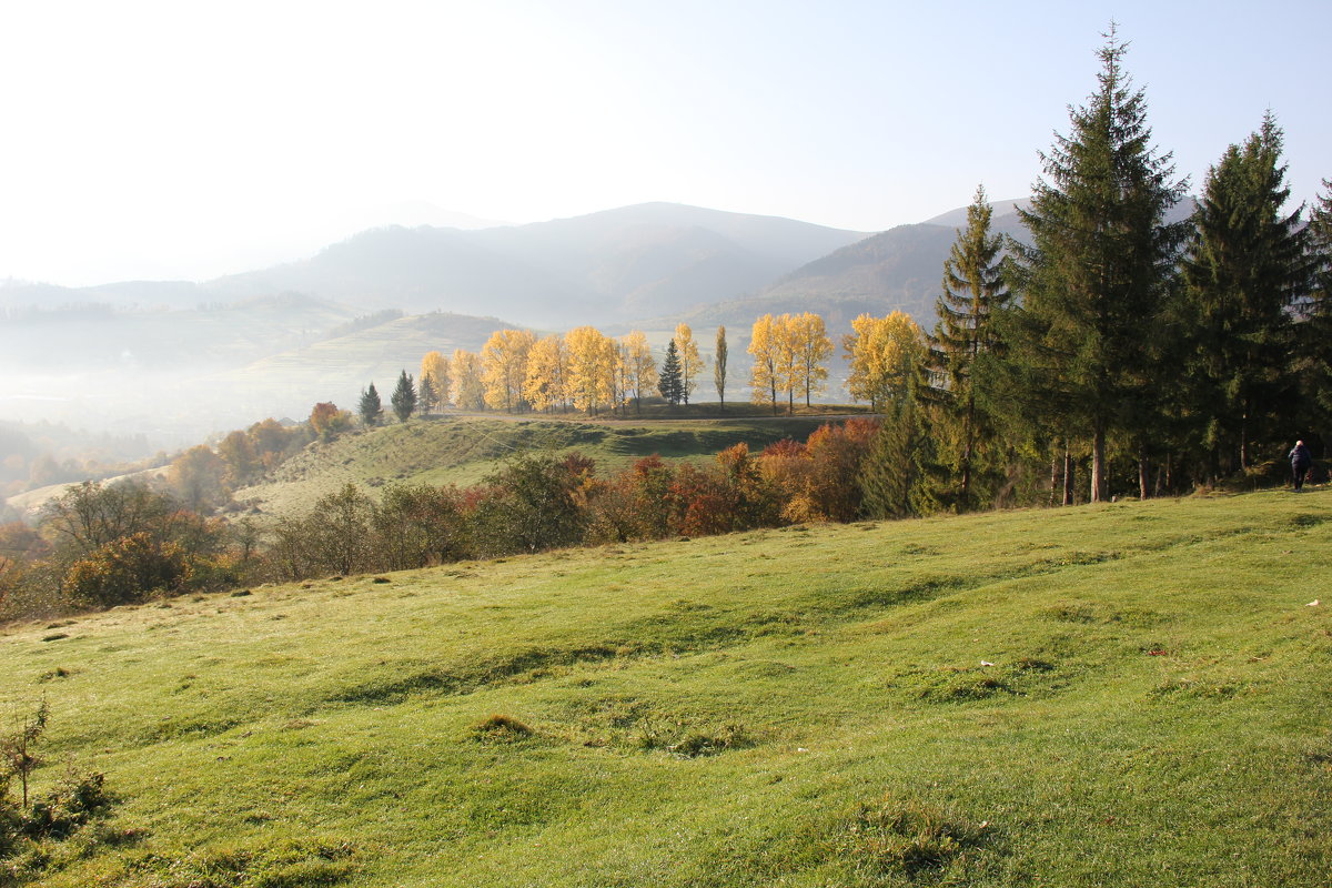 В Карпатах - Наталья 