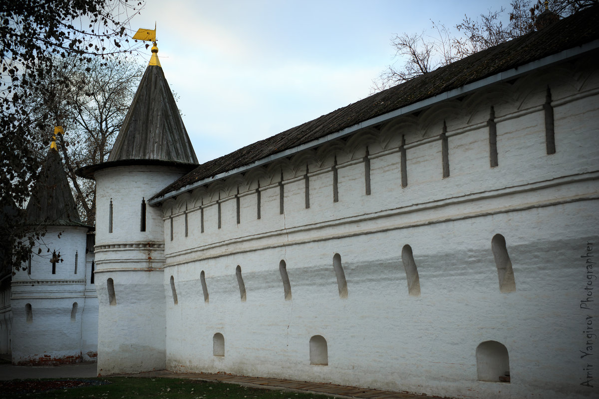 Спасо-Андроников монастырь - Янгиров Амир Вараевич 
