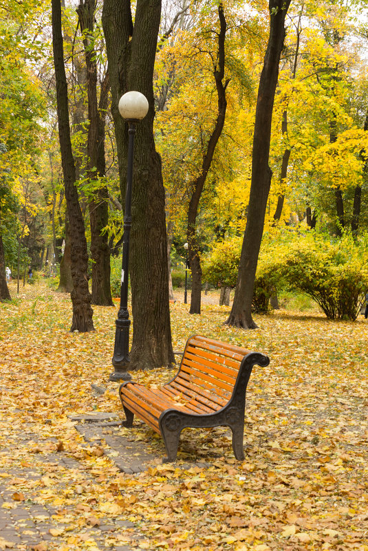 Осень в парке - Александр 