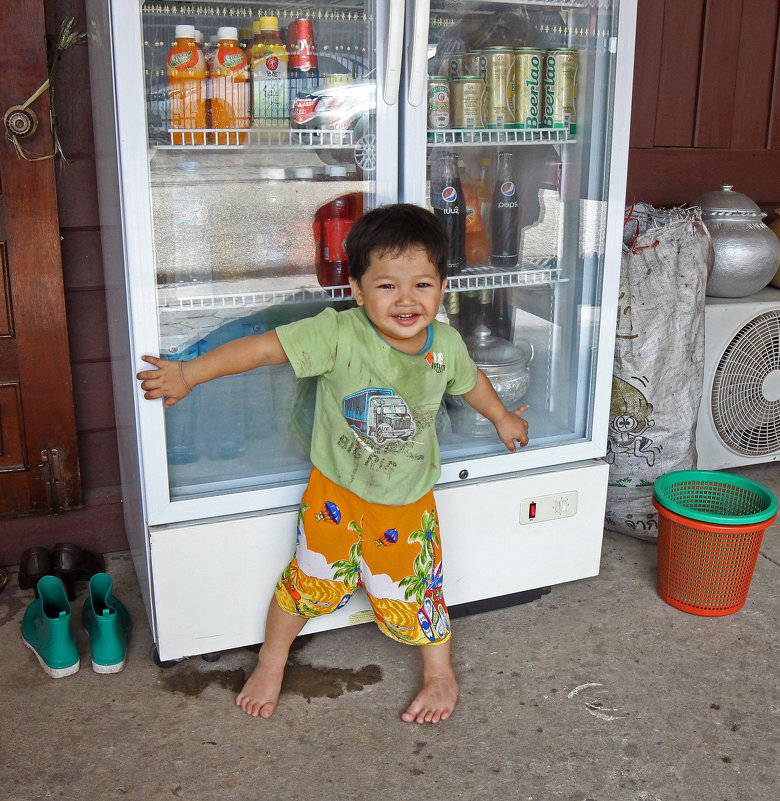 Лаос. Вьентьян. Защитник домашнего холодильника - Владимир Шибинский
