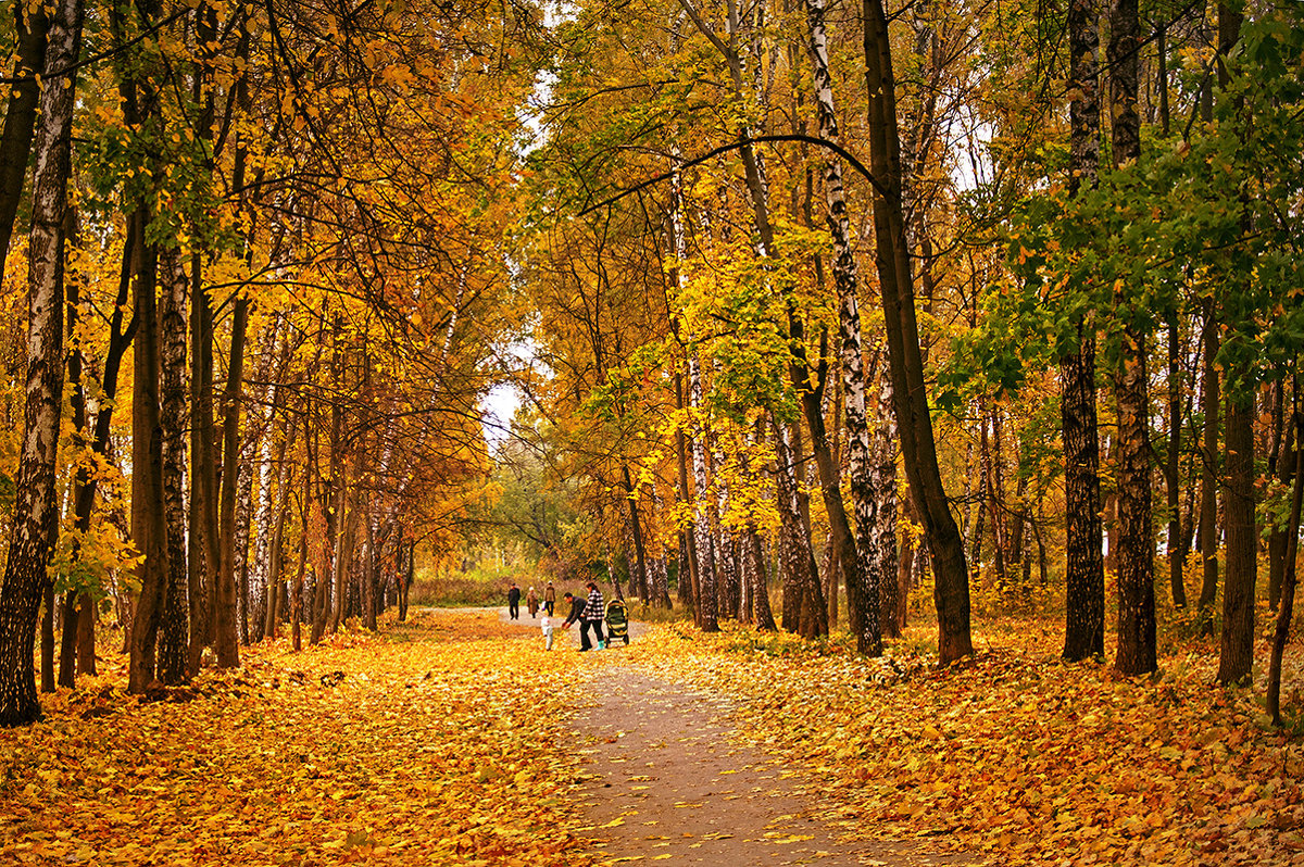 Золотая осень в парке. - Горбушина Нина 