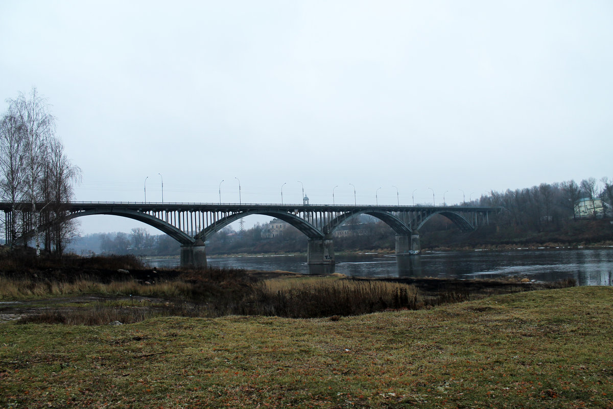 Мост через Волгу - Наталья Гусева