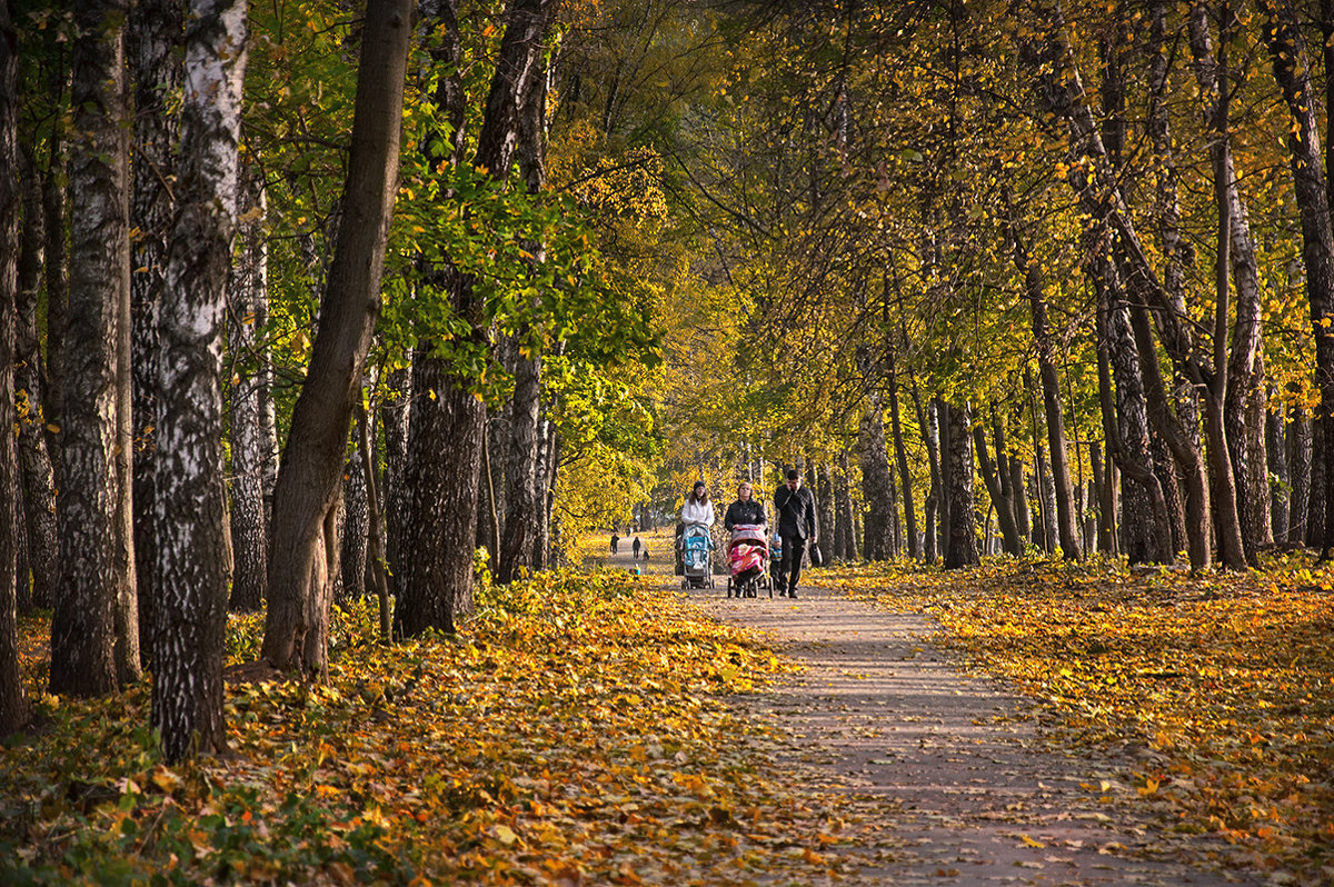 Золотая осень в парке. - Горбушина Нина 