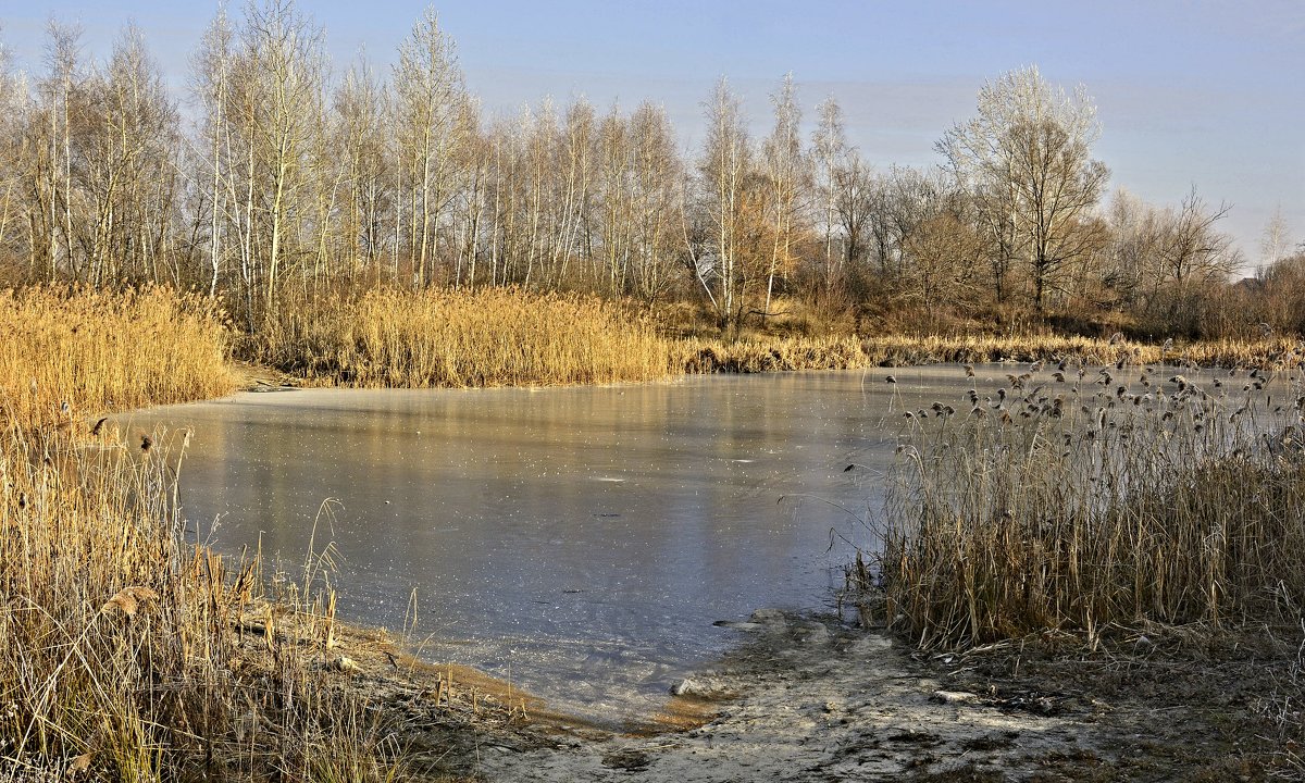 Первый лед - Мария Богуславская