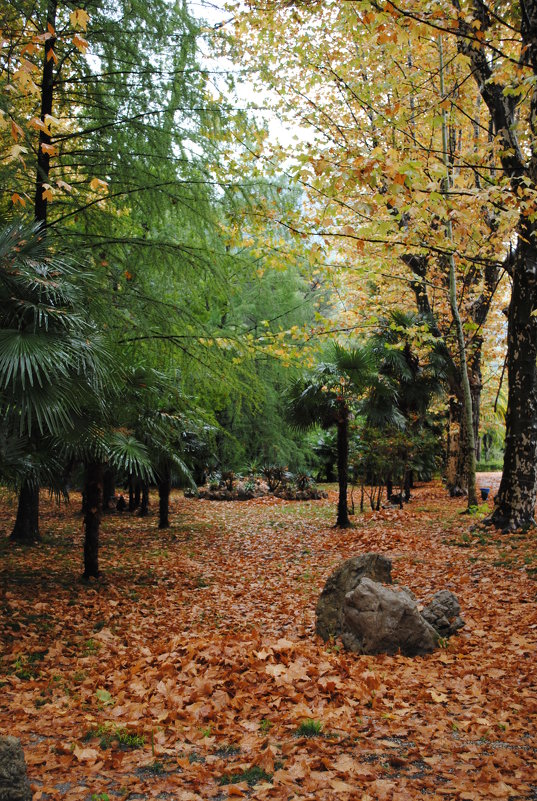 Золотая осень в Абхазии - Nadin ***