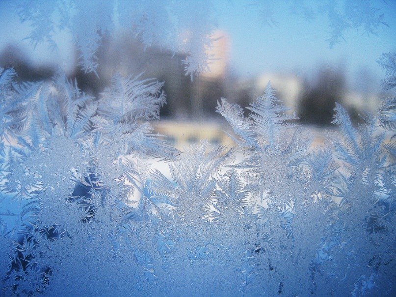 Синь - Елена Борозенец 