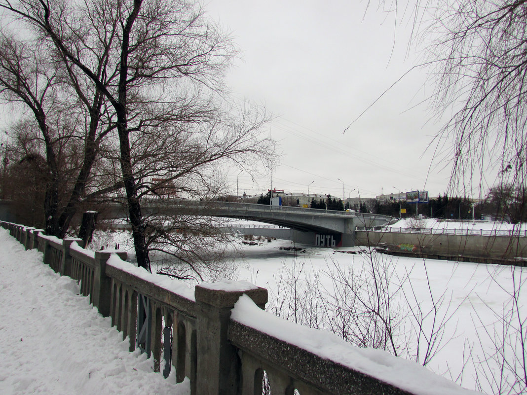 Мост через реку Омь - раиса Орловская